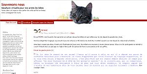 Cimetière pour chat chien animaux de compagnie