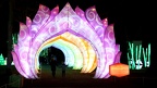 Festival des lanternes Montauban 2022-2023