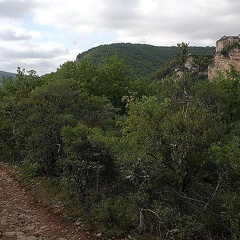 IMG 5096