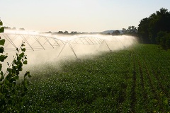 Rampe d&#039;irrigation