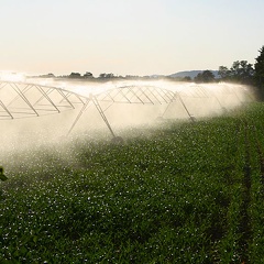 Rampe d&#039;irrigation