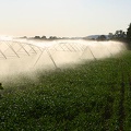 Rampe d'irrigation