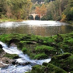 Aveyron (Brousses)