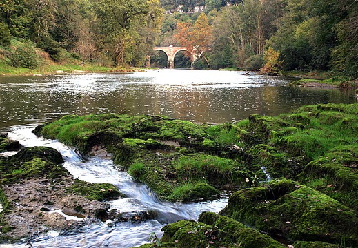 Aveyron (Brousses)
