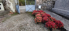 Fleurs à l'entrée du cimetière