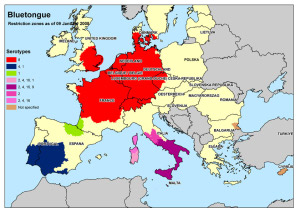 zones-fco-europe-blog.jpg