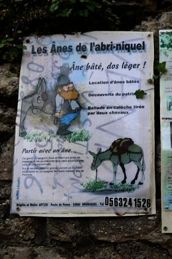 Affiche randonnée à dos d’âne dans le Tarn-Et-Garonne
